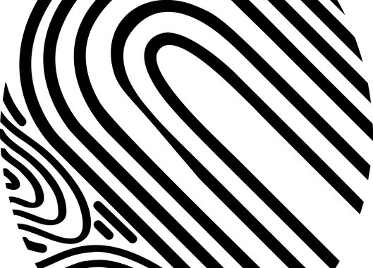 anatomy-2730317_640-780x520