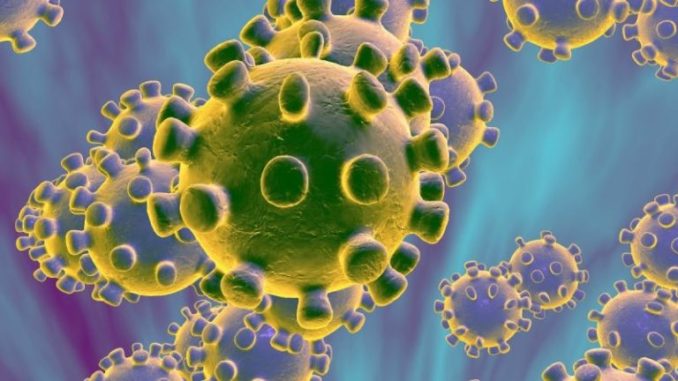 Coronavirus_Shalom__-768x432